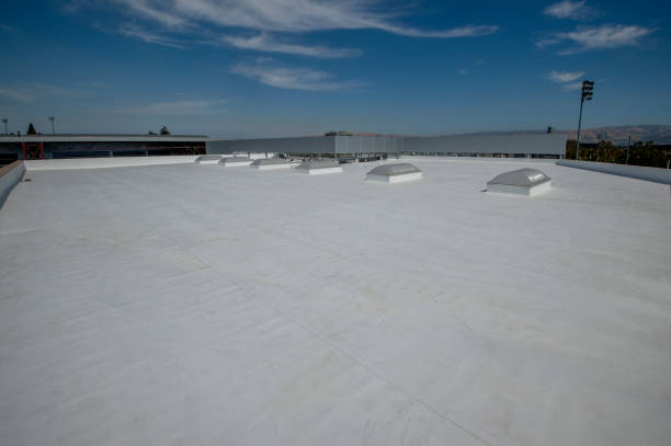 Best Gutter Installation and Repair  in Linden, TX