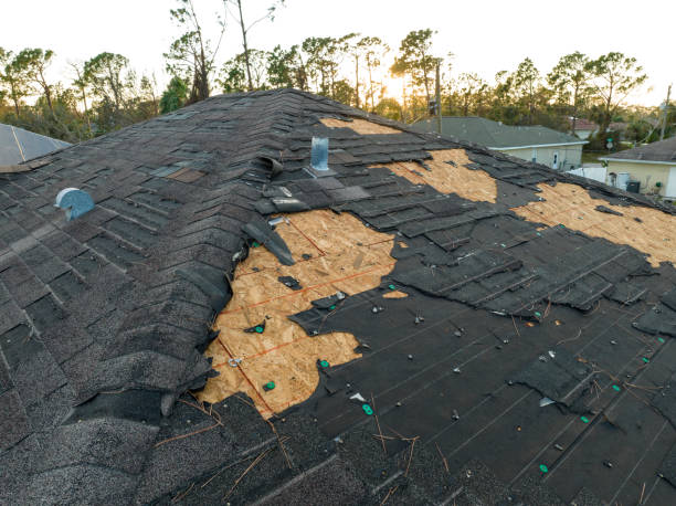 Best Roof Leak Repair  in Linden, TX