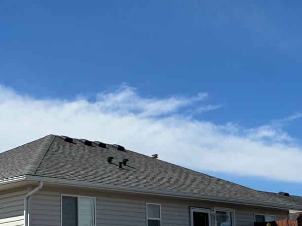Best Asphalt Shingles Roofing  in Linden, TX